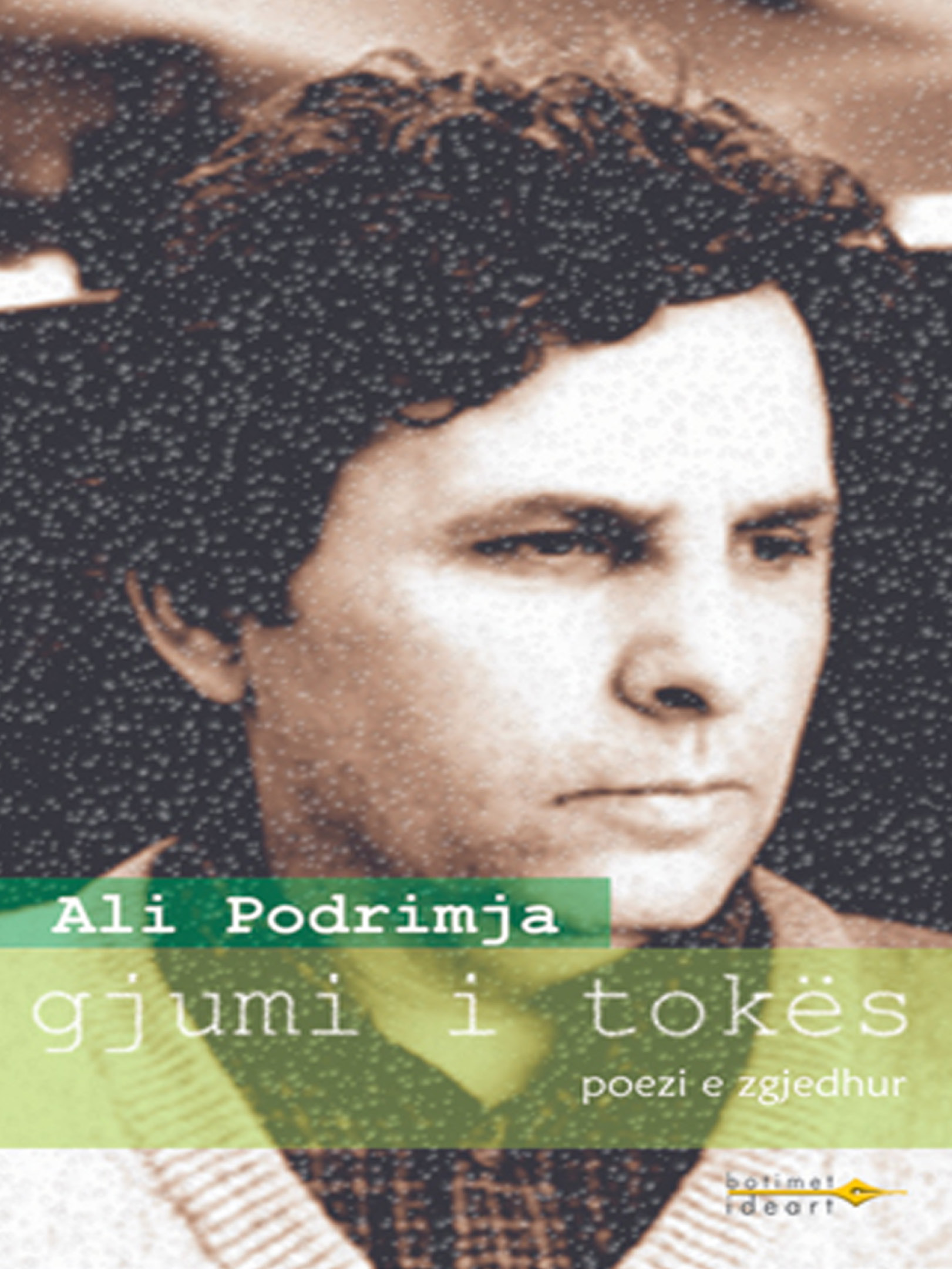 Gjumi i tokës